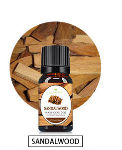Realistic Fire Diffuser – Cool Mist Humidifier & Aromatherapy Lamp
